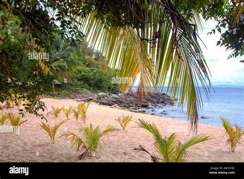 beach in the island of Cu Lao Cham, one of the Cham islands in Vietnam ...