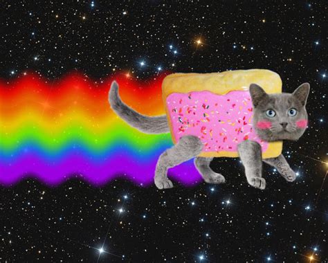 Real Life Nyan-Cat by SilverBuller on DeviantArt