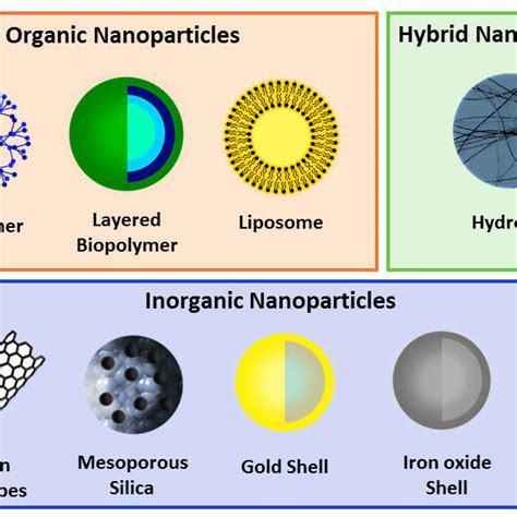 Schematic representation of different types of nanoparticles (NPs)... | Download Scientific Diagram