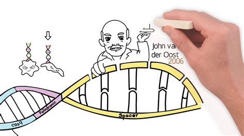 CRISPR: History of Discovery - YouTube