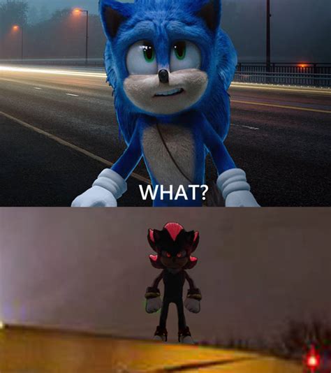 Sonic The Hedgehog 3 Sonic Meets Shadow Fan-Made by AnthGoji on DeviantArt