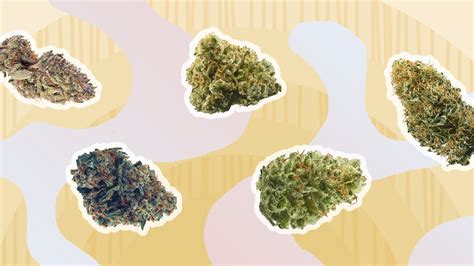 Cannabis Strains, Products, Reviews & Curated Lists | Leafly