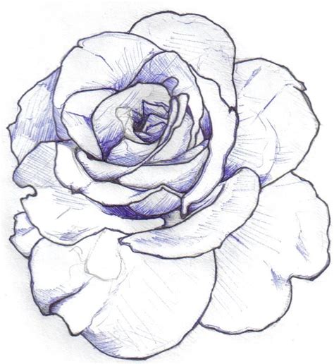 39 best Rose Drawing Stencil Tattoo Designs images on Pinterest | Rose tattoos, Tattoo roses and ...