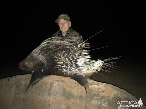 Hunting African Porcupine in South Africa | AfricaHunting.com