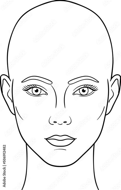 Female head front view ector illustration, bald woman head anatomy line ...