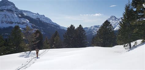 Winter Tours of Yellowstone National Park