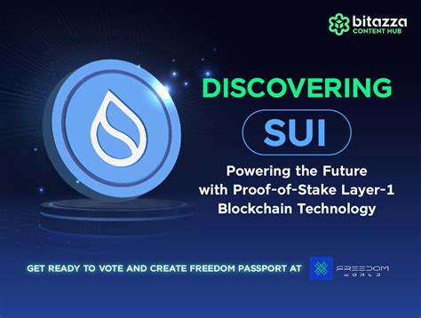 Sui Token Infographic