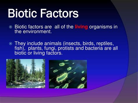 PPT - Biotic and Abiotic Factors PowerPoint Presentation, free download ...