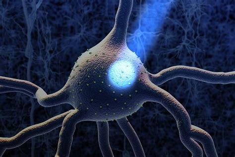 Optogenetics with SOUL | MIT News | Massachusetts Institute of Technology