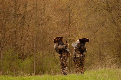 How to Turkey Hunt | Outdoor Life