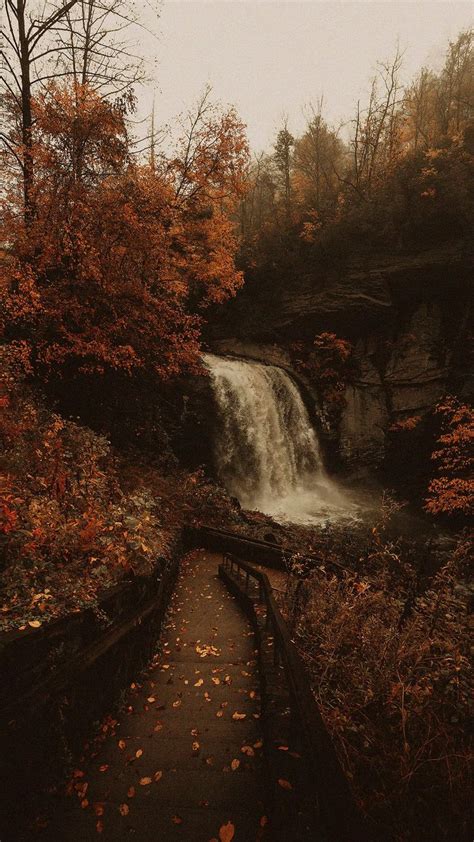 an image of a waterfall in the woods