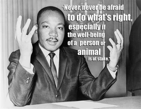 Animal Rights Activists Quotes - Quotes Sinergy