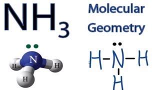 The Shape of the Ammonia Molecule Nh3 Is