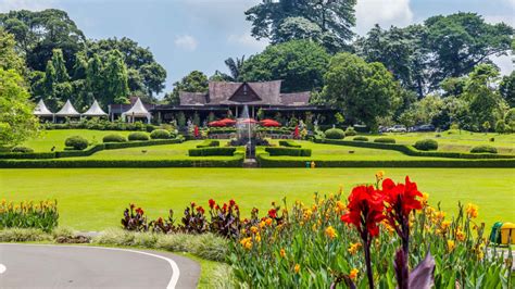 Jakarta Private Tour: Bogor Botanical Garden