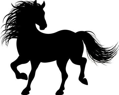 Horse silhouette 155707-Horse silhouette vector