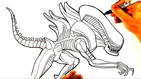 How to Draw ALIEN XENOMORPH - YouTube