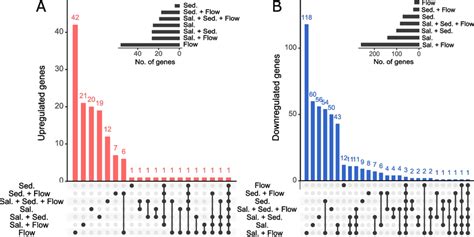 UpSet plots, summarising unique and shared differentially expressed... | Download Scientific Diagram