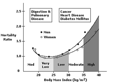 BIODYNAMICS : Body Mass Index