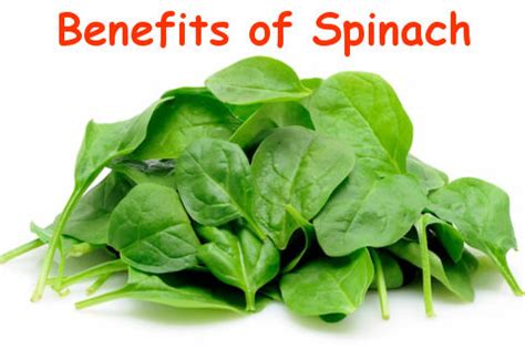 Health benefits Of Spinach And Side Effects That Some May Experience ...