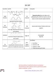 VEAL CHOP.docx - VEAL CHOP Type of decal Looks like Caused by Variable ...