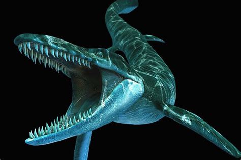 Tylosaurus Facts, Habitat, Diet, Fossils, Pictures