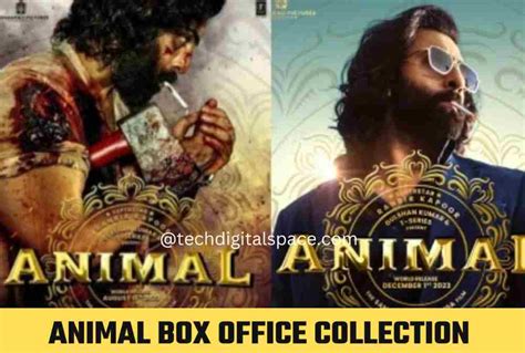 Animal Box Office Collection Day 3: Tsunami at the Box Office as Animal ...