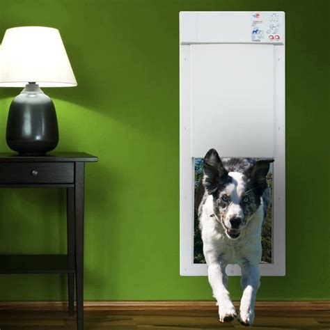 6 Best Smart Dog Doors | Family Handyman