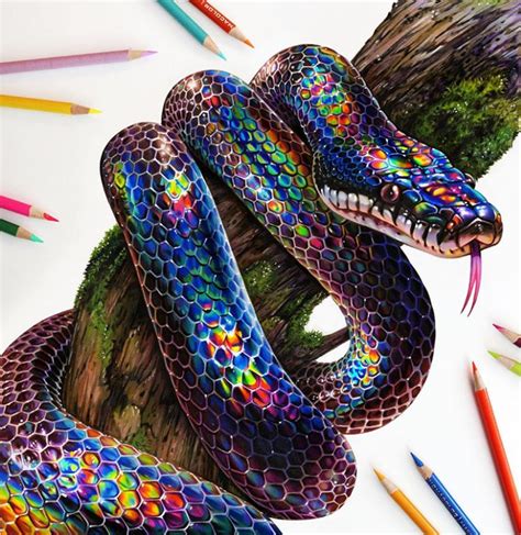 Drawing Pencils – 37 Sketching Art Set | Snake drawing, Snake painting ...