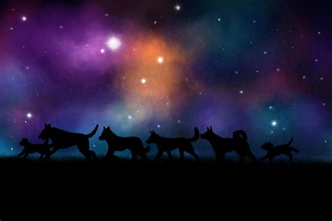 Galaxy Dogs by Hanetzu on DeviantArt