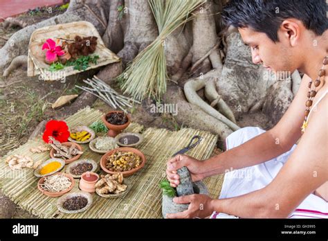 A young Indian doctor preparing traditional ayurvedic, herbal, medicine ...