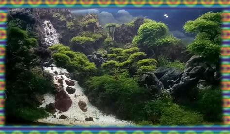 five beautiful designs to aquascape theme with waterfalls - Aquascape Design