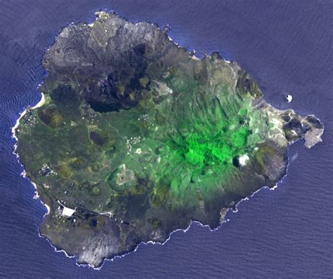 Ascension Island An Ecological Experiment - Word Forest