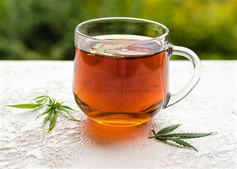 CBD Tea: Herbal and medicinal goodness and the proven health benefits | Luxury Lifestyle Magazine