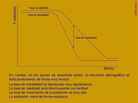 Transicion Demografica