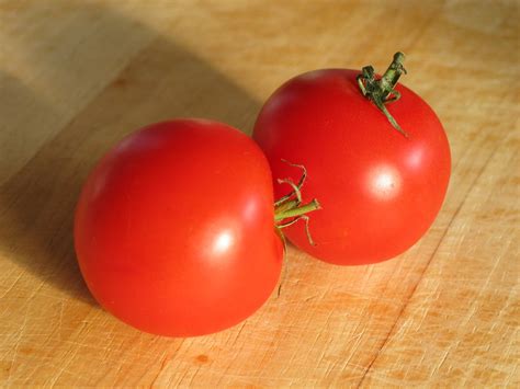 ripe tomatoes Free Photo Download | FreeImages