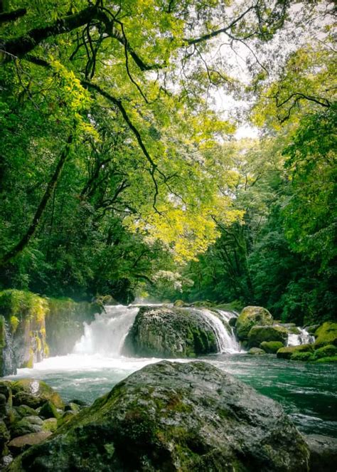 Forest Bathing In Rejuvinating Rural Japan - Kikuchi Gorge