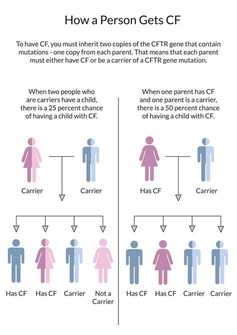 What is Cystic Fibrosis - Cystic Fibrosis Tasmania