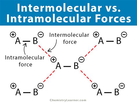 Different Types Of Intermolecular Forces