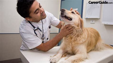 6 Steps To Becoming A Veterinary Doctor - CareerGuide