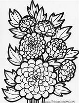 Flower Coloring Pages  The Barn sketch template
