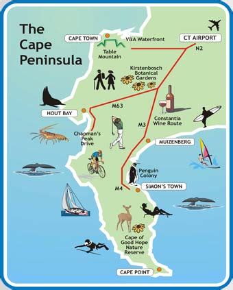 Road Trip | South Africa's Cape Peninsula - Angie Away