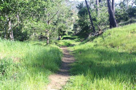 Cambria Beaches & Trails on the Central Coast - Visit Cambria | CA