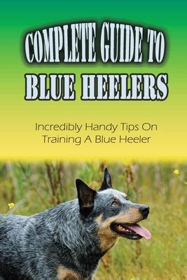 Complete Guide To Blue Heelers: Incredibly Handy Tips On Training A ...