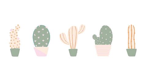 Cute Cactus, cartoon cactus HD wallpaper | Pxfuel