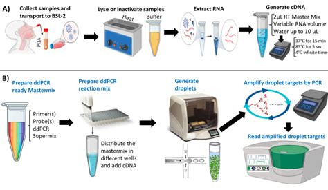 Two-Step Reverse Transcription Droplet Digital PCR Protocols for SARS-CoV-2 Detection and ...