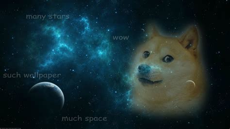 76+ Doge Meme Wallpapers on WallpaperPlay