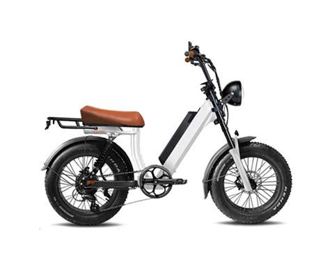 Leebike Special Electric bike, Electric Bike Supplier, China Cheap ...