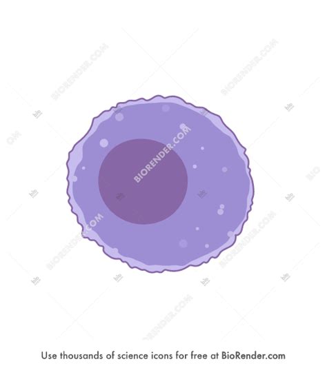 Free Mesothelial cell 1 Icons, Symbols & Images | BioRender