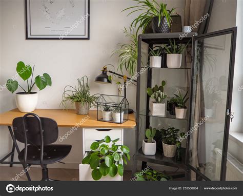 Modern industrial black and white study room with numerous green plants ...