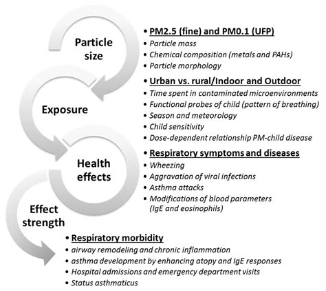 Atmosphere | Free Full-Text | A Review of Airborne Particulate Matter Effects on Young Children ...